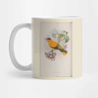 Oriel Mug